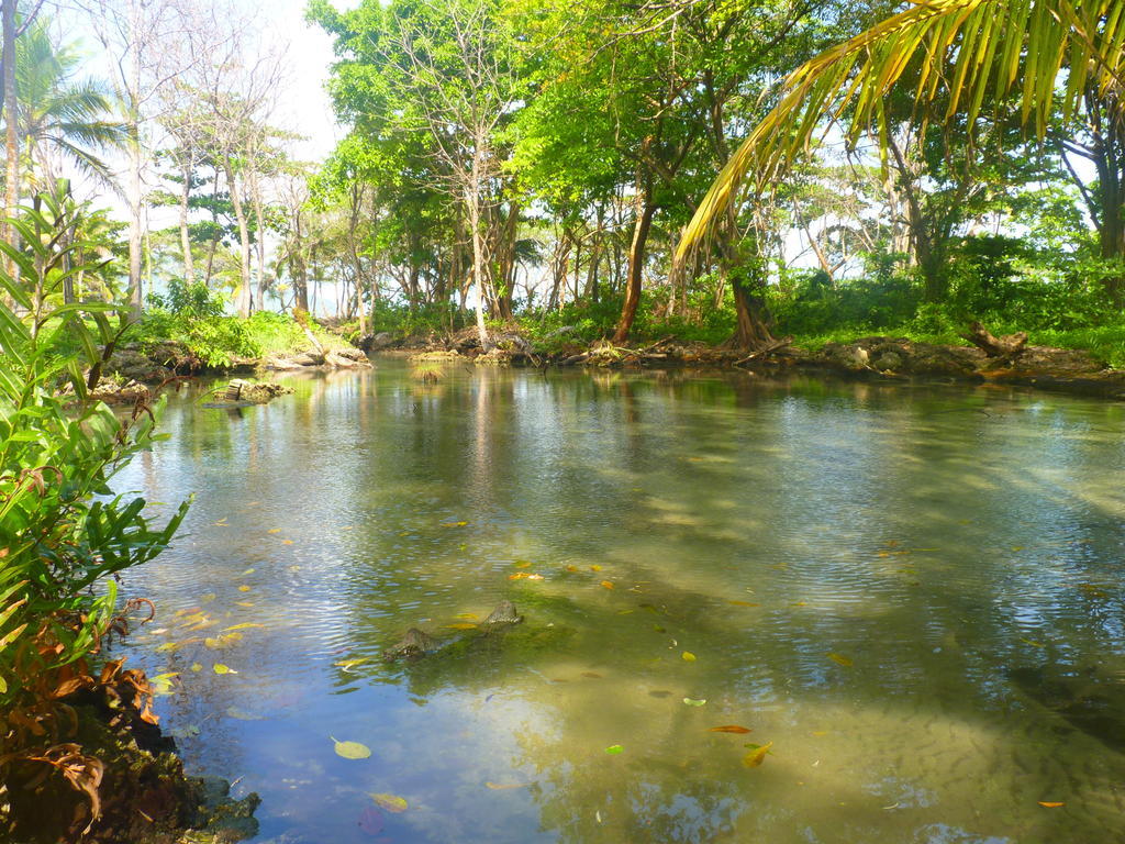 Hostal Capurganá Buitenkant foto